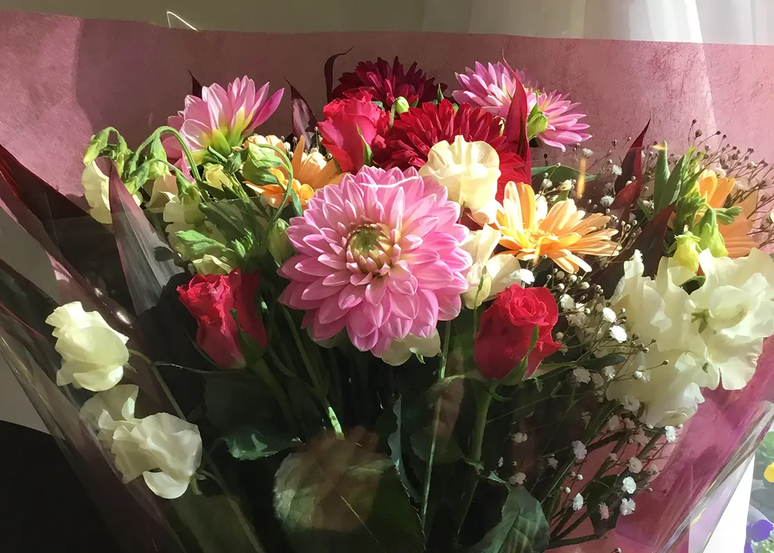 スズキ花店の店内に並ぶ季節の花々